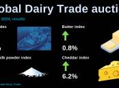 Global Dairy Trade prices defy market expectations to post modest gain