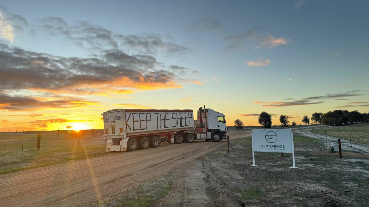 Producers and the wider supply chain have banded together for the Keep the Sheep campaign. Picture supplied. 