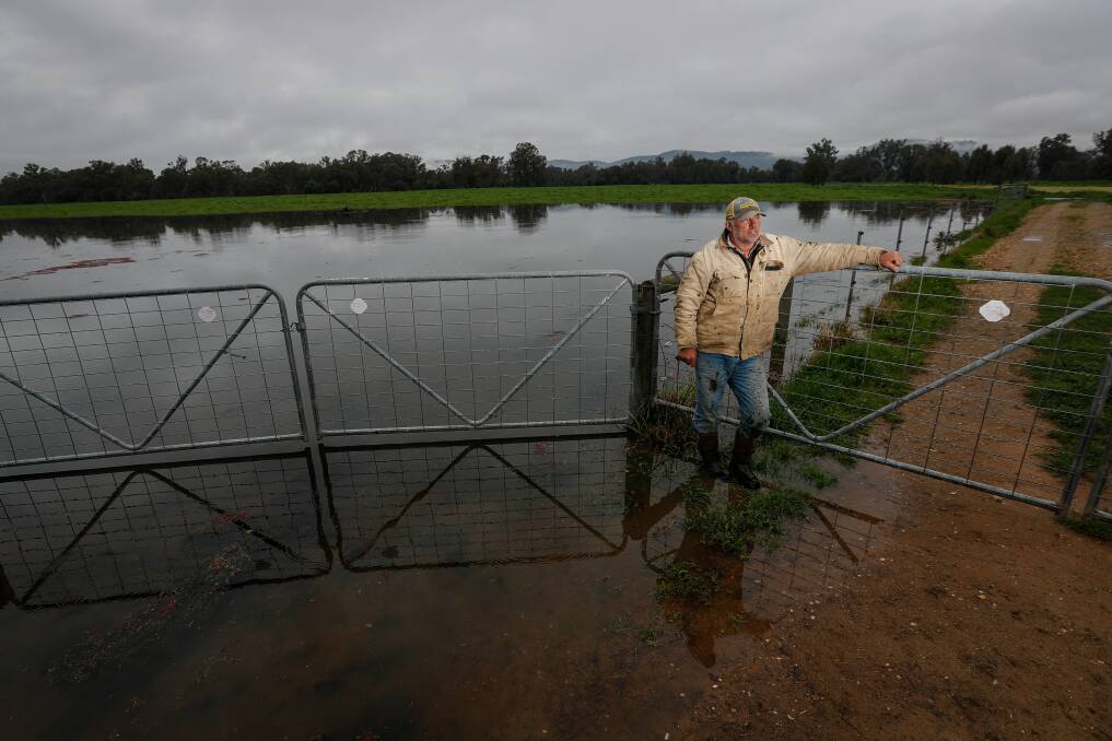 Andrew Watson's Kensal Green farm at Bungowannah has increasingly significant access issues due to flooding from the Murray River. Picture by James Wiltshire