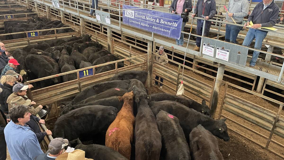 The final store cattle sale was held at the Victorian Livestock Exchange in Pakenham on June 27. Picture by Bryce Eishold
