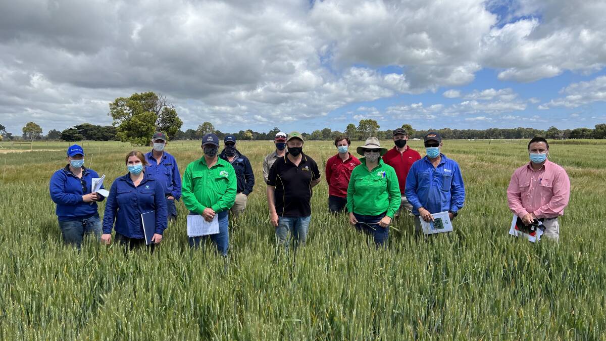 TRIAL: Ninety-seven people attended the Gippsland Agricultural Group's research farm near Bairnsdale on Tuesday.