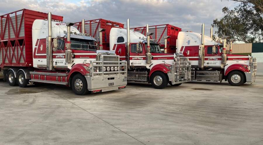 The company now comprises seven trucks, including three B-doubles. Picture supplied