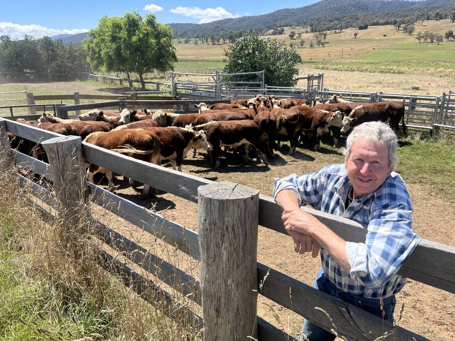 Brian Dyer, Benambra, will sell 100 mixed-sex Hereford cattle ranging from 10-14 months at the first Mountain Calf Sale at Hinnomunie in March.