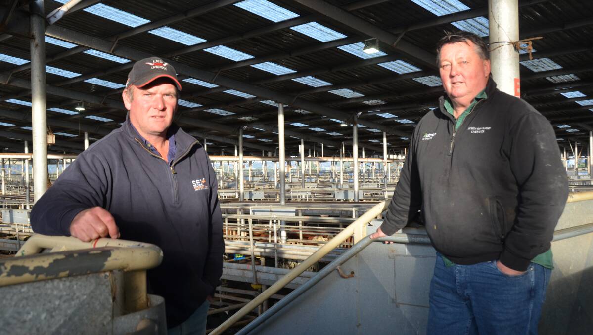 SEJ Leongatha livestock manager James Kyle and Nutrien South Gippsland Livestock director Terry Ginnane at the Leongatha saleyards. Pictures by Bryce Eishold