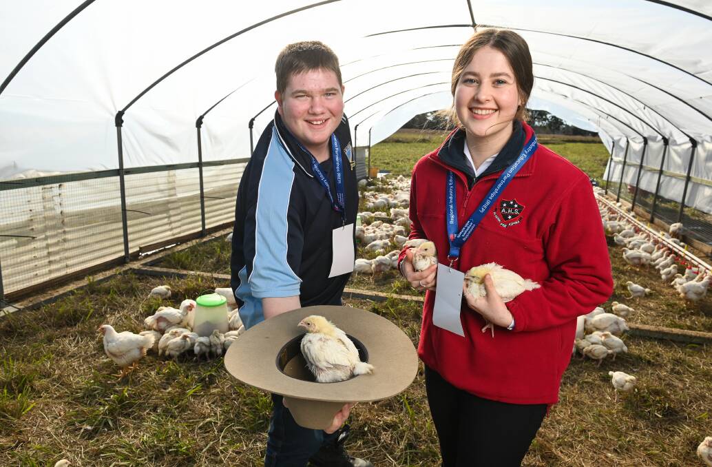 Murray High's Brian Warhurst and Albury High's Emily Shipard were part of a group of about 120 students who got a taste of life on the land. Picture by Mark Jesser