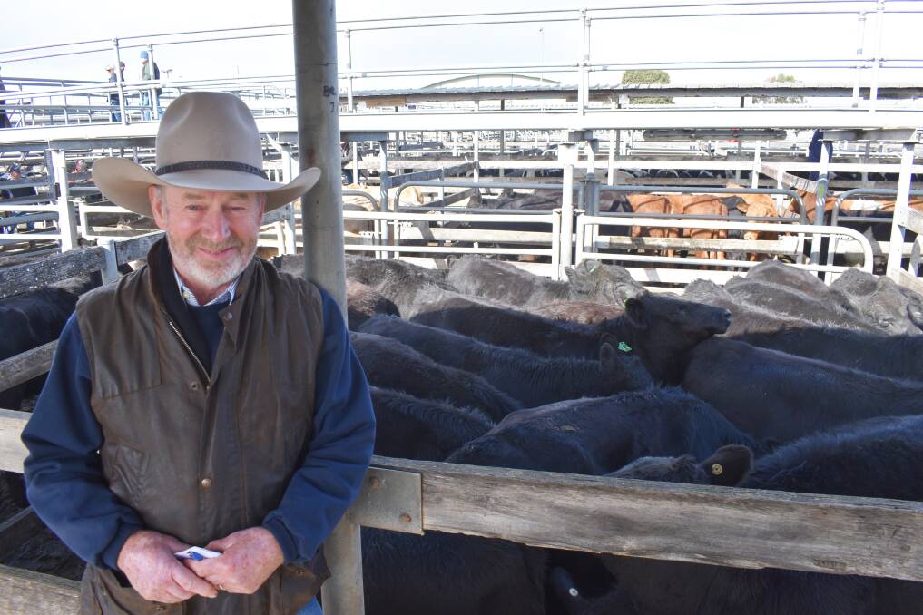 HOPEFUL: Terang beef producer Rod Mills, was selling heifers at Warrnambool, but this was a "normal" plan.