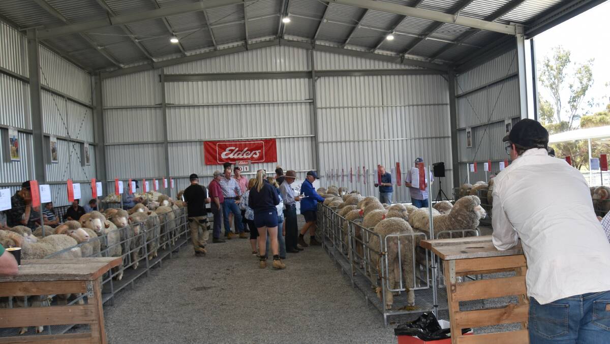 There was plenty of crowd support at the annual Melrose Merino stud sale at Nurrabiel where the 55 rams sold to $6500 and averaged $1854.