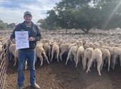 Nutrien livestock agent Josh Nourse facilitated the sale of Koomooloo Station's sheep at Jamestown, SA, recently. Picture by Kiara Stacey