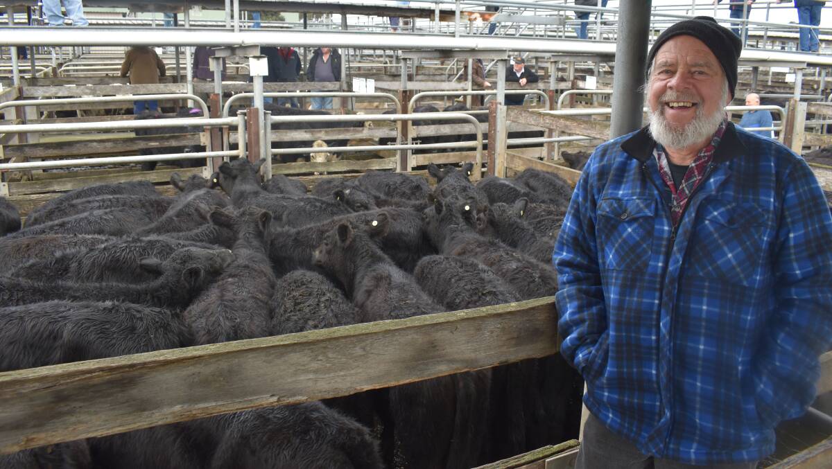 GOOD RESULT: Tim Netherway, Framlingham, was happy with the sale of these Angus weaned heifers to $670 a head at Warrnambool last week.