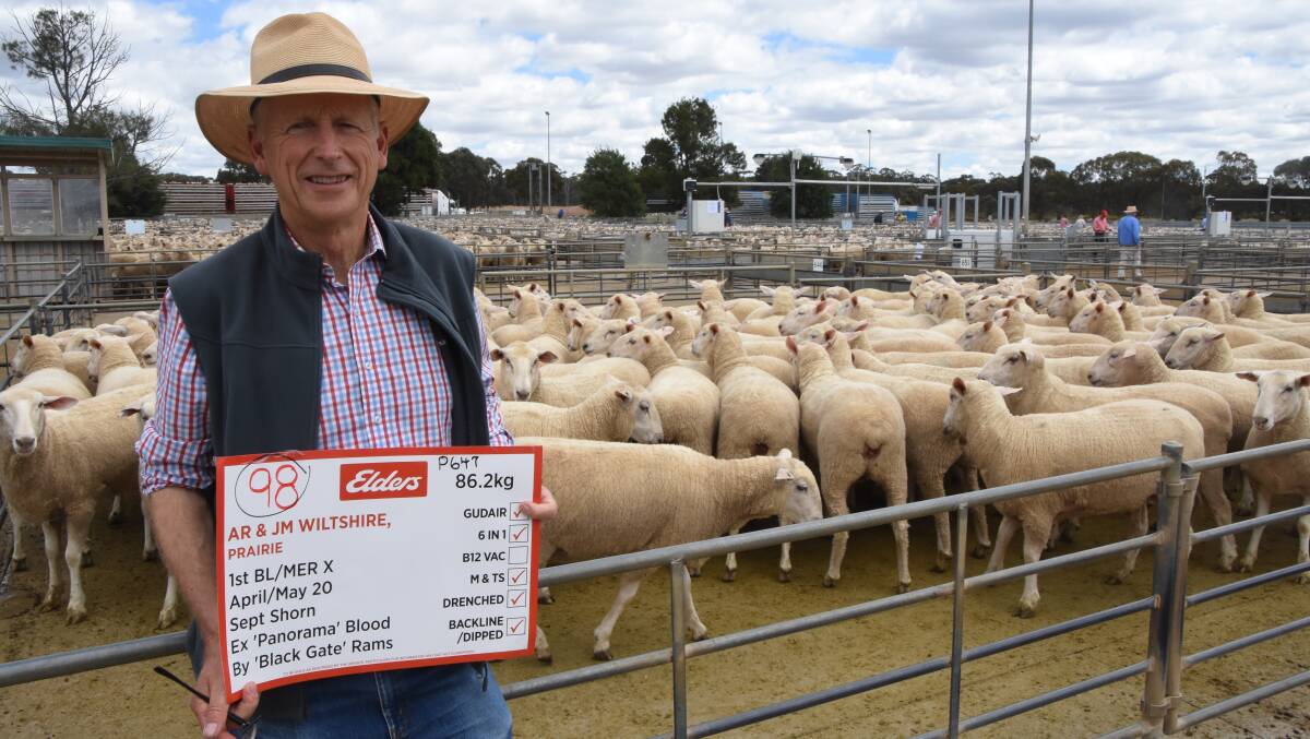 BUYER: Rob Sands, Caniambo, bought the record-priced pen of ewes at Bendigo, consigned by AR & JM Wiltshire, Prairie, which made $516. Photo by Bryce Eishold.
