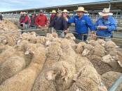 AWN Langlands Hanlon auctioneer Cooper Byrnes, Parkes, NSW, takes bids during the Forbes, NSW, prime lamb sale last week. Picture by Karen Bailey