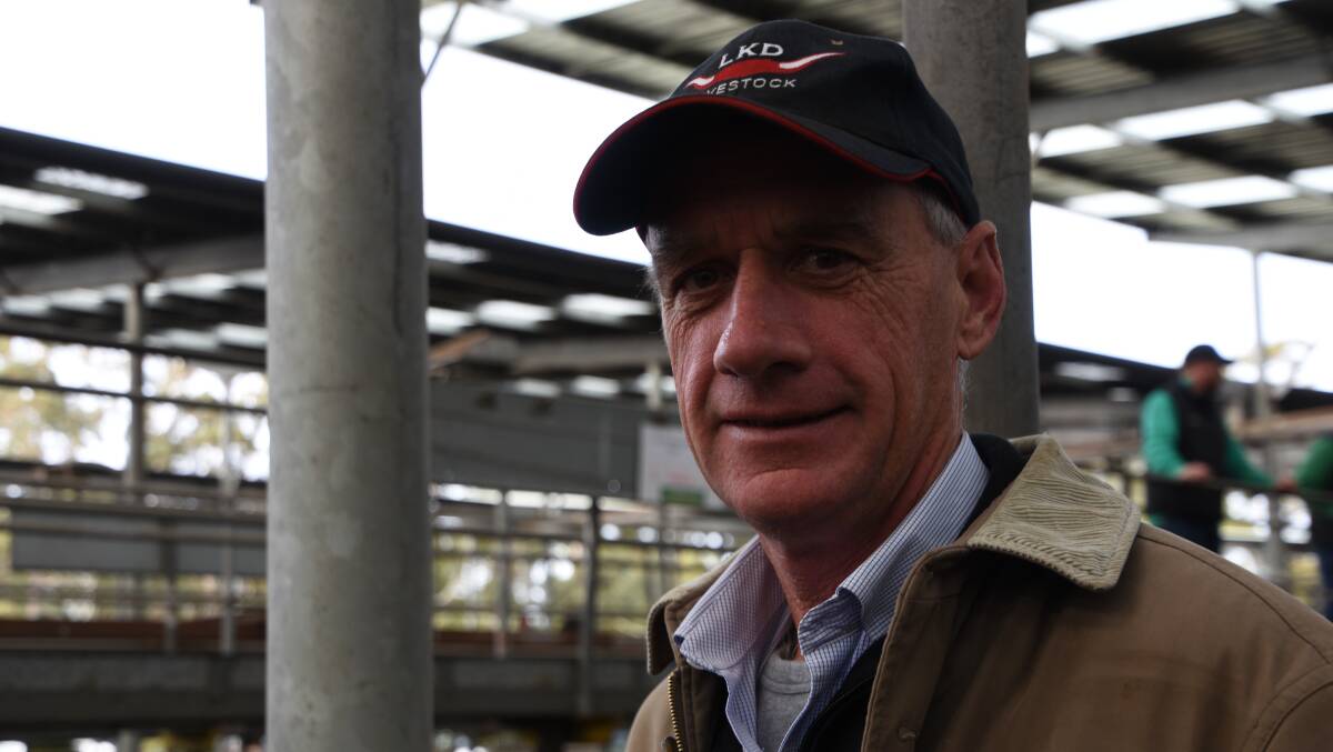 SEJ agent Jim Pocklington, Leongatha, who was at the local market to to buy steers on behalf of clients last week. Photo by Marian Macdonald.