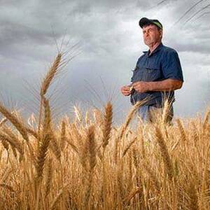 Ron Hards on his wheat farm near Millewa. Photo: Sarah Foster