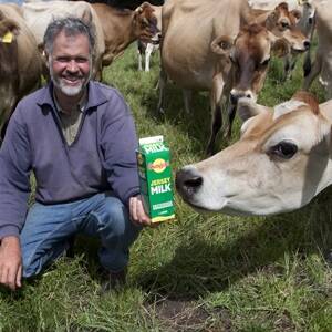 Jersey milk branded for success