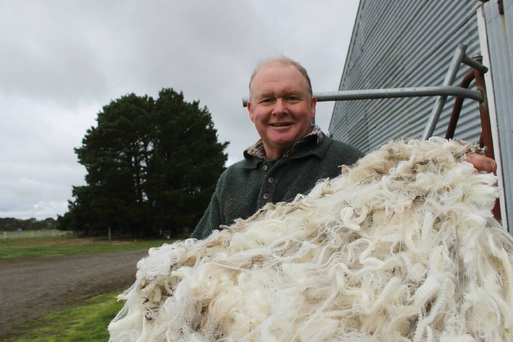 Sandy Jelbert, Strathcona, Carngham, with a fleece cut from a 1.5 year-old polled ewe.