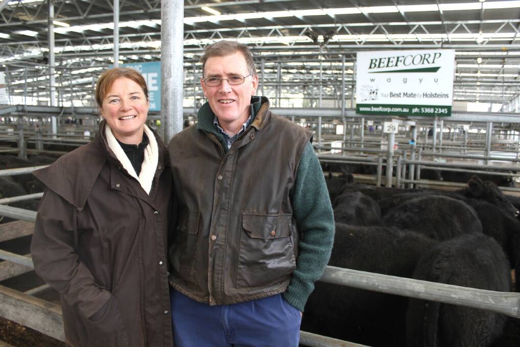Heavy steers in demand at Colac | Stock & Land | VIC