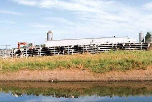 Dairy processors spend $27m on green improvements