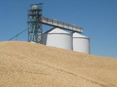 New marketing service for Vic grain growers