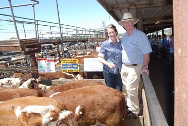 Di and Geoff Notman , Mt Widderin, Skipton , with a pen of Hereford steers, 417.8kg and Yarram Park blood, making 178c.