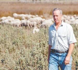 Bengworden fine wool producer Rick Robertson, in a photo taken last year, is a saltbush advocate.