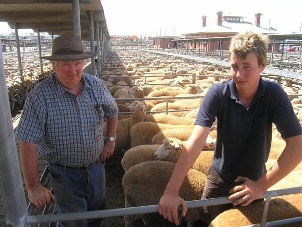 Kevin Guthrie, Clarkes Hill, with grandson Jake Guthrie topped the Ballarat market Tuesday with their first draft of lambs for the season, which most buyers suggested would weigh at least 35kg or better. The pen of 270 made $168 and although this results was not the top of this week's markets,  the Guthrie family said they were very happy with the result.
