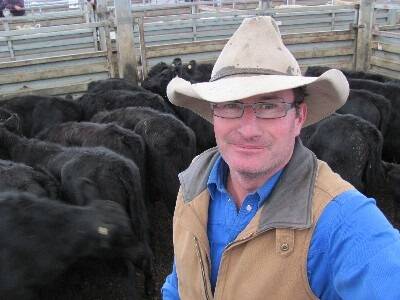 Pakenham cattle rates rise $10-20