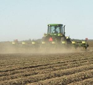 Don't be tempted: Keep canola sowing rates up