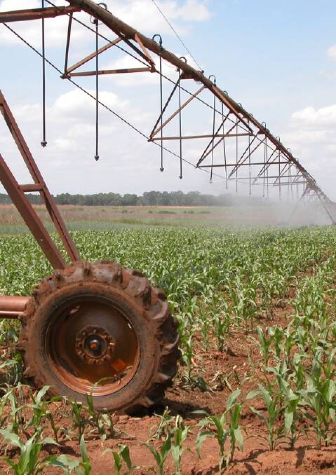Millions 'wasted' on farm water