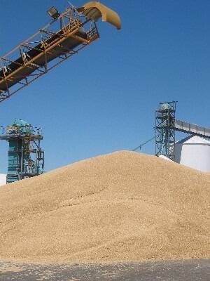 Vic push to expand niche grain opportunities
