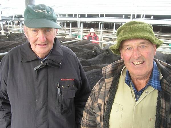 Opening the Ballarat sale with a pen of 20 month-old Angus steers, 492kg, brothers, Vince and Danny Spruce of Navigators were pleased with their sale price of $905.