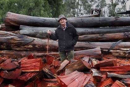 Jerry Swan, 78, Barmah Timber mill owner. Photograph: Simon O'Dwyer 