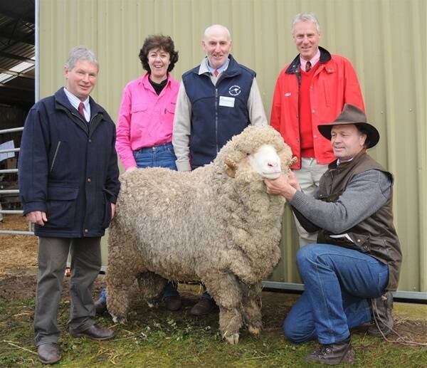 George Merriman holds the top-priced $18,000 Merryville ram from Sheepvention ram sale on Tuesday. Standing behind the ram from left are syndicate members, Tom Silcock, The Mountain Dam stud, Bernadette and Robert Close from the Kurra-Wirra stud, and Elders agent David Whyte. PHOTO: WAYNE JENKINS