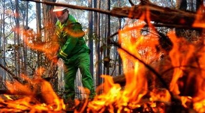Ex-Labor man gets bushfire job
