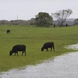 Record-making rainfall across Victoria