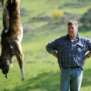 When man's best friend goes feral: Farmer Kim Bucholtz with a dead wild dog on his property near Albury, where the animals have been wreaking havoc among sheep. Photo: Pat Scala