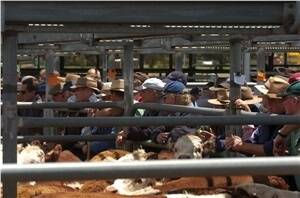 Livestock farmers slam Ballarat fee increase