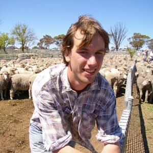 Local vendor Thomas Moll sold 99 Merino ewes at 1.5 years for $152 at Nhill on Thursday.