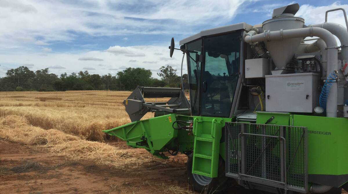 TRIALS: A new wheat variety dubbed ‘Scepter’ has been among the top performers in this year’s BCG wheat trials at Berriwillock, Horsham and Nhill.