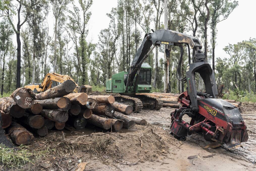 Court challenge: The logging restraint, if continued until May 2022, would cost VicForests a gross amount of $2,399,530 in the Central Highlands and $57,944 in East Gippsland. File photo. 